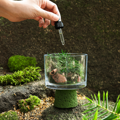 Botanical Aroma Diffuser